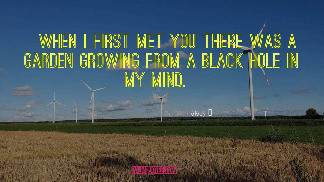 Halsey Quotes: ✵ When I first met