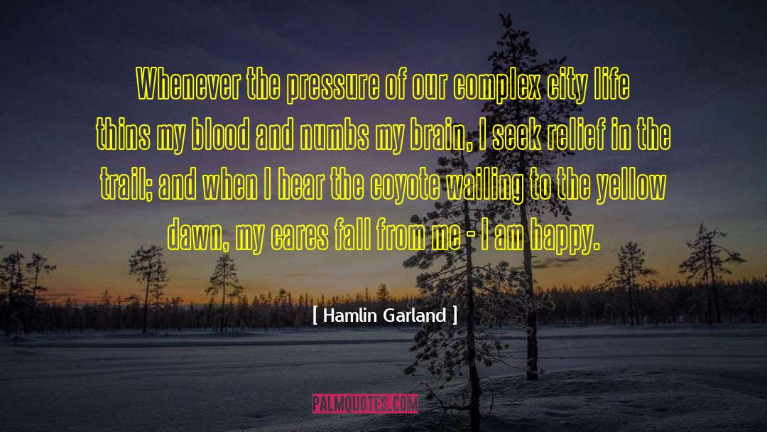 Hamlin Garland Quotes: Whenever the pressure of our