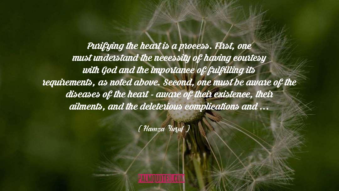 Hamza Yusuf Quotes: Purifying the heart is a