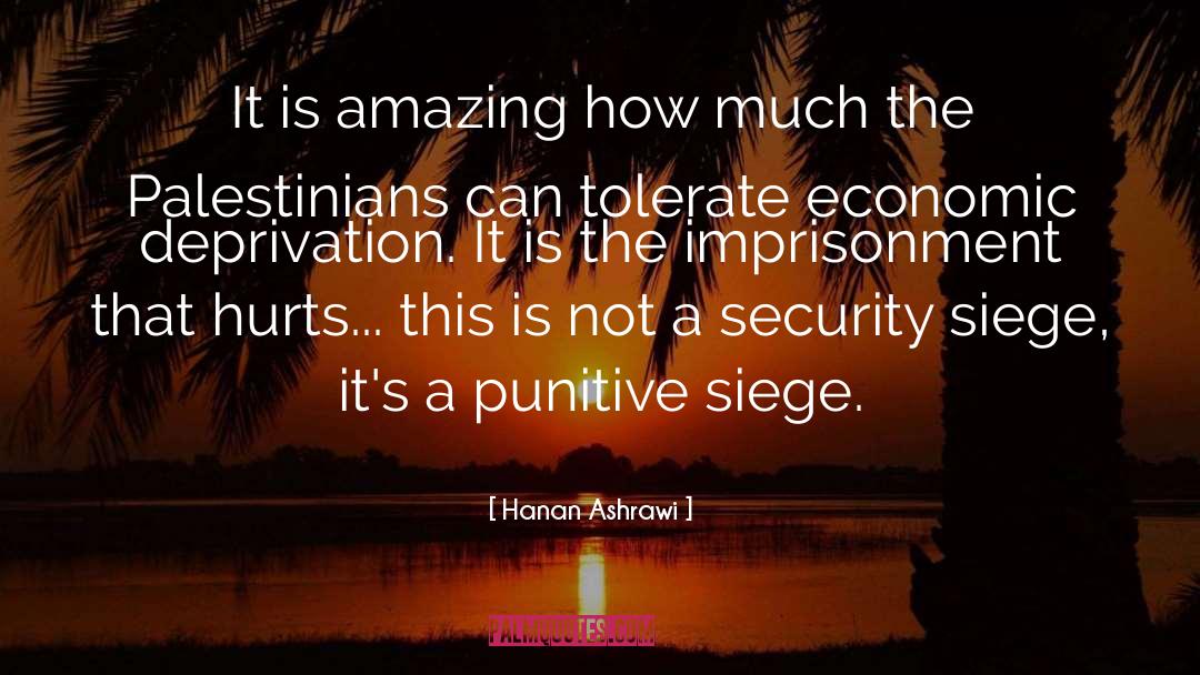 Hanan Ashrawi Quotes: It is amazing how much