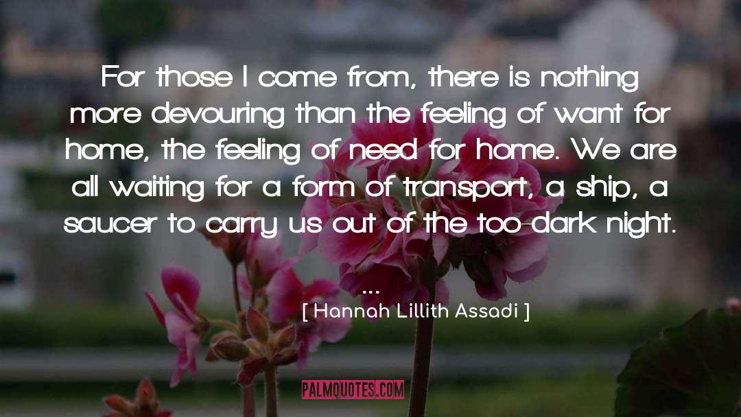 Hannah Lillith Assadi Quotes: For those I come from,