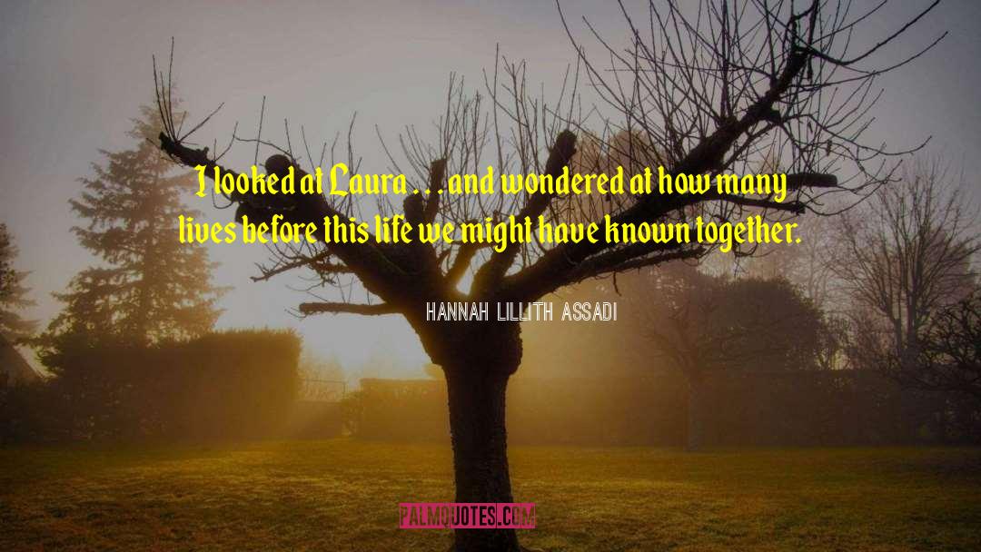 Hannah Lillith Assadi Quotes: I looked at Laura .