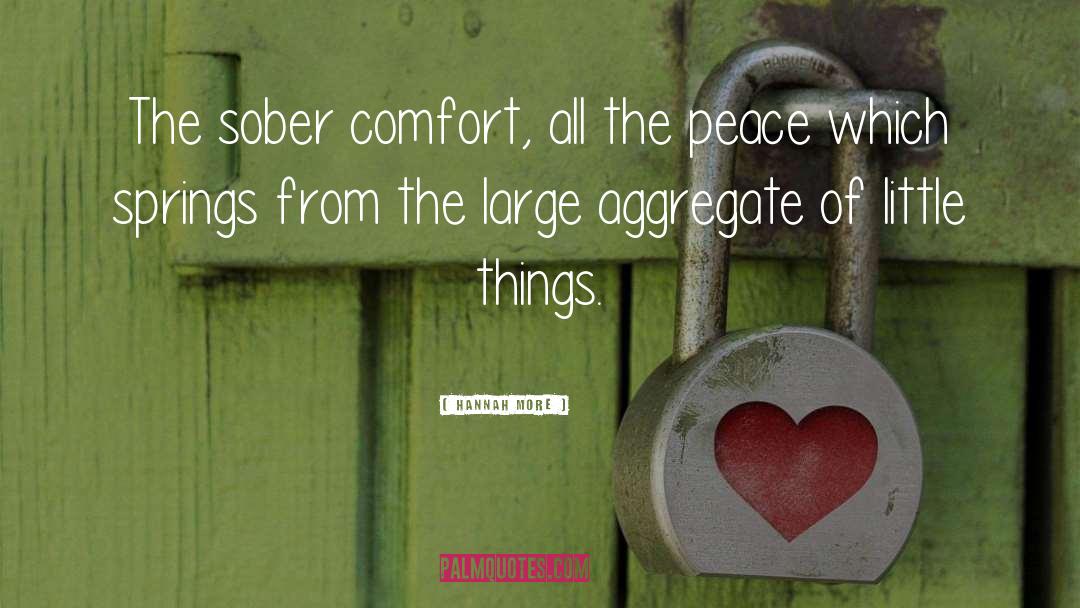 Hannah More Quotes: The sober comfort, all the