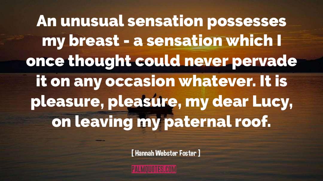 Hannah Webster Foster Quotes: An unusual sensation possesses my