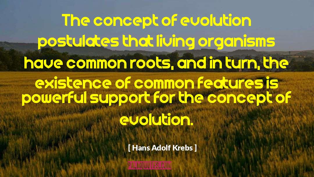 Hans Adolf Krebs Quotes: The concept of evolution postulates