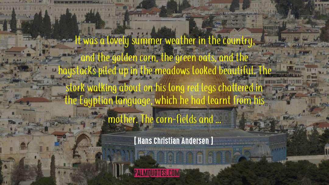 Hans Christian Andersen Quotes: It was a lovely summer