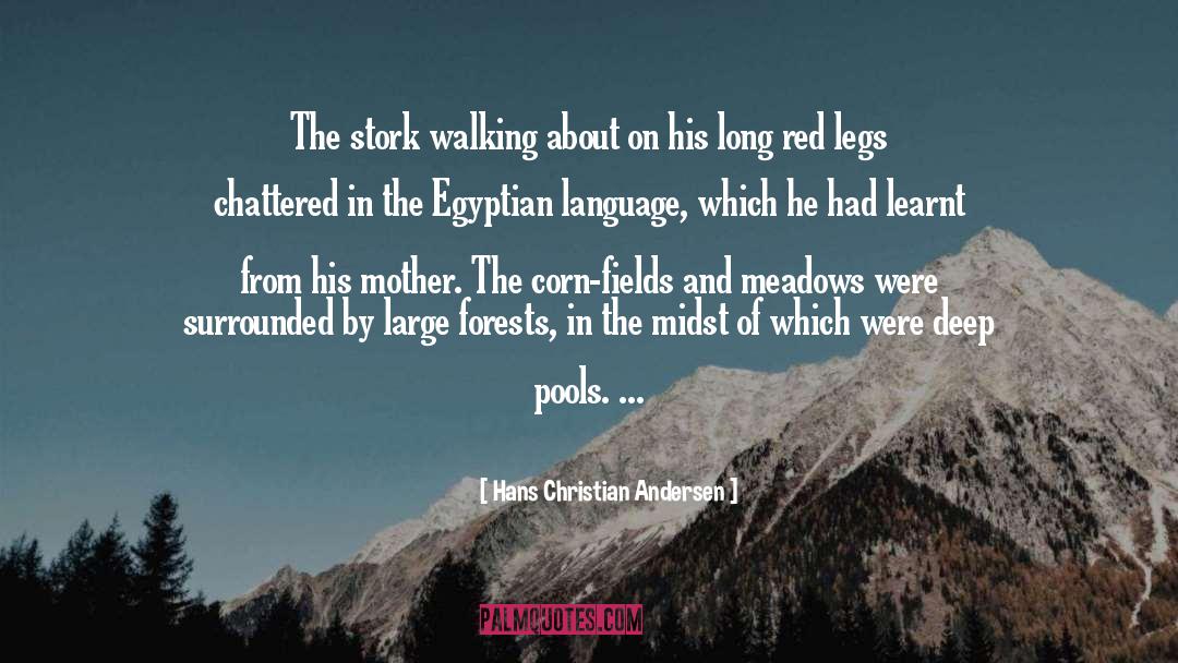 Hans Christian Andersen Quotes: The stork walking about on