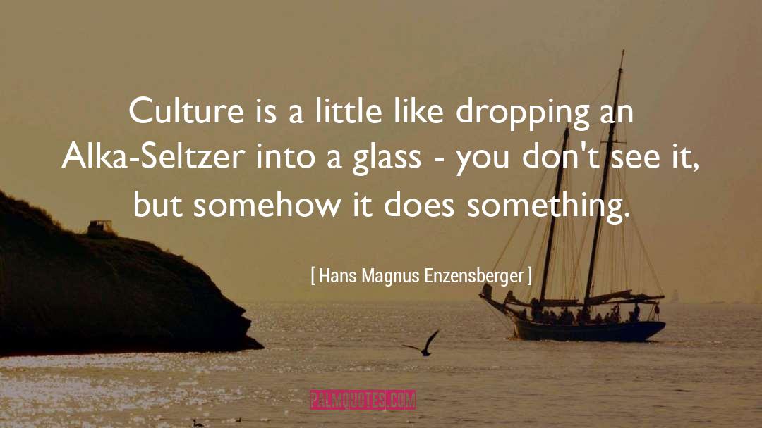 Hans Magnus Enzensberger Quotes: Culture is a little like