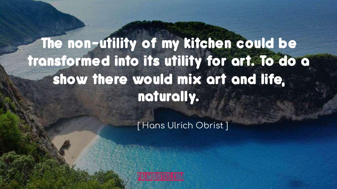 Hans Ulrich Obrist Quotes: The non-utility of my kitchen