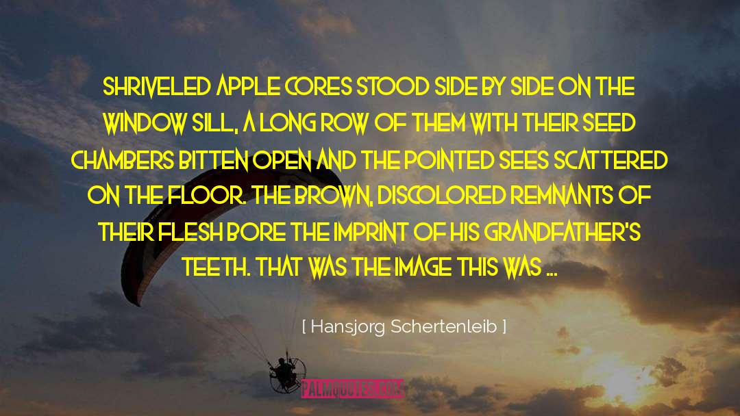 Hansjorg Schertenleib Quotes: Shriveled apple cores stood side