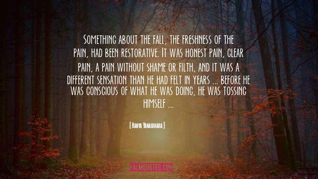 Hanya Yanagihara Quotes: Something about the fall, the