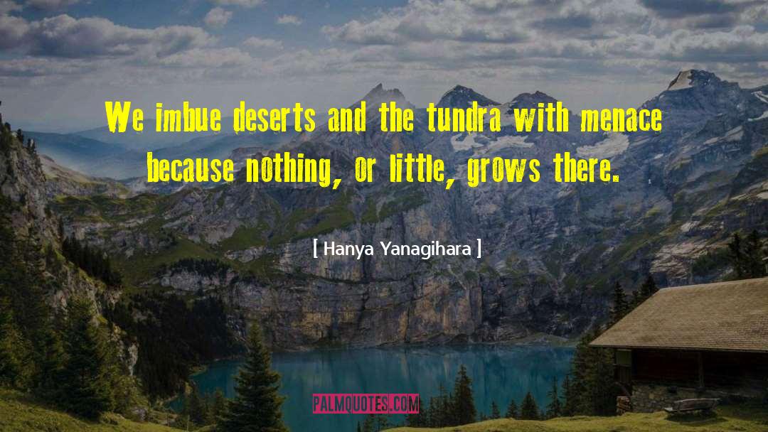 Hanya Yanagihara Quotes: We imbue deserts and the