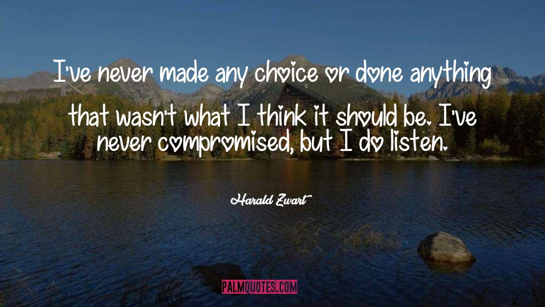 Harald Zwart Quotes: I've never made any choice