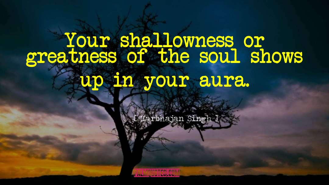 Harbhajan Singh Quotes: Your shallowness or greatness of