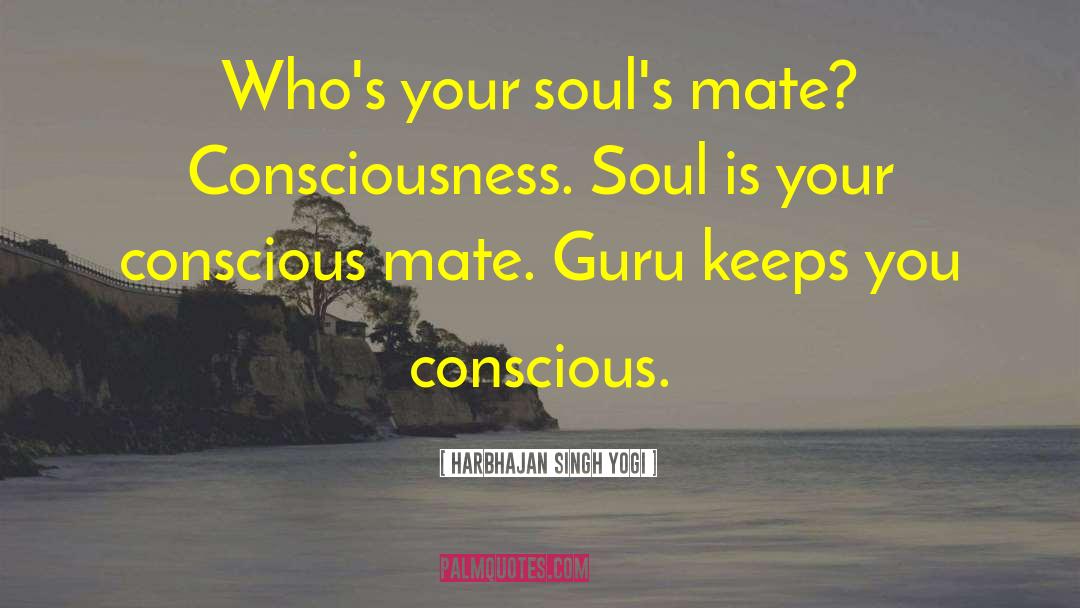 Harbhajan Singh Yogi Quotes: Who's your soul's mate? Consciousness.