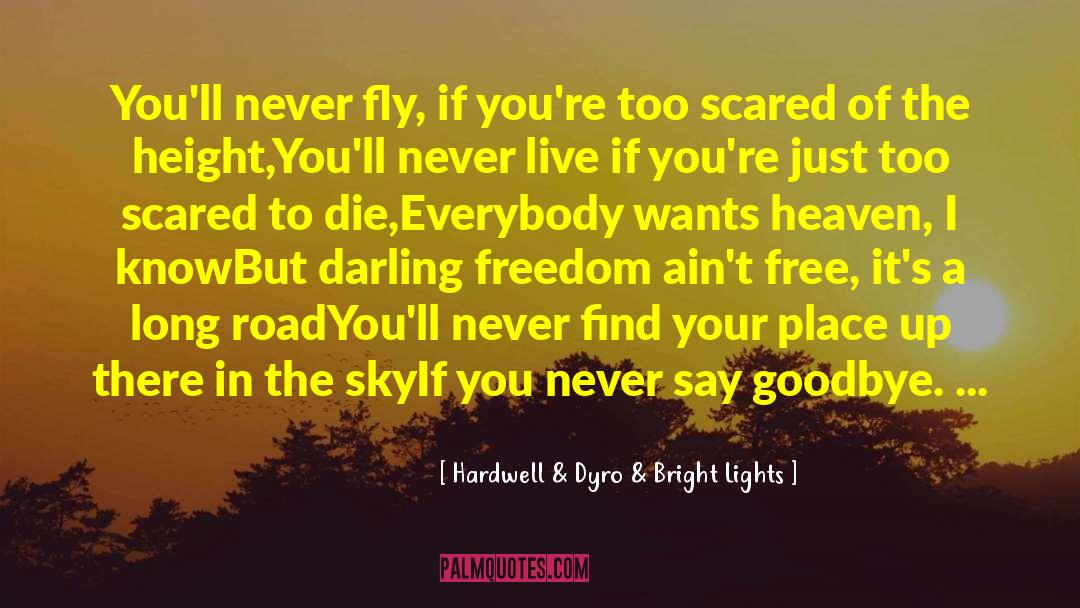 Hardwell & Dyro & Bright Lights Quotes: You'll never fly, if you're