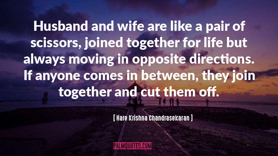 Hare Krishna Chandrasekaran Quotes: Husband and wife are like