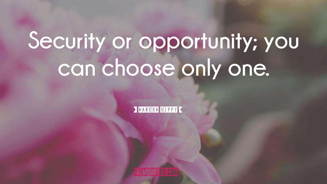 Haresh Sippy Quotes: Security or opportunity; you can