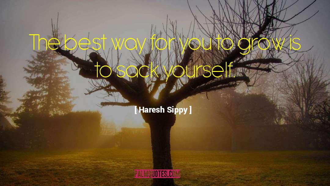 Haresh Sippy Quotes: The best way for you