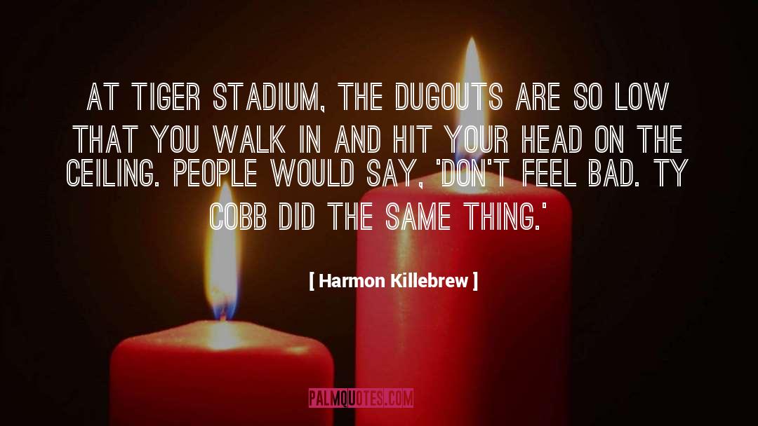 Harmon Killebrew Quotes: At Tiger Stadium, the dugouts