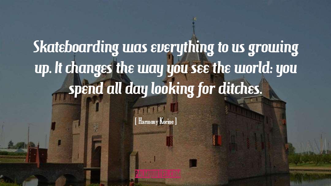 Harmony Korine Quotes: Skateboarding was everything to us