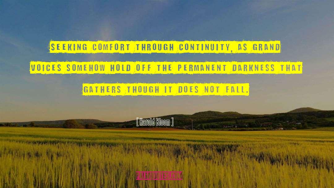 Harold Bloom Quotes: seeking comfort through continuity, as