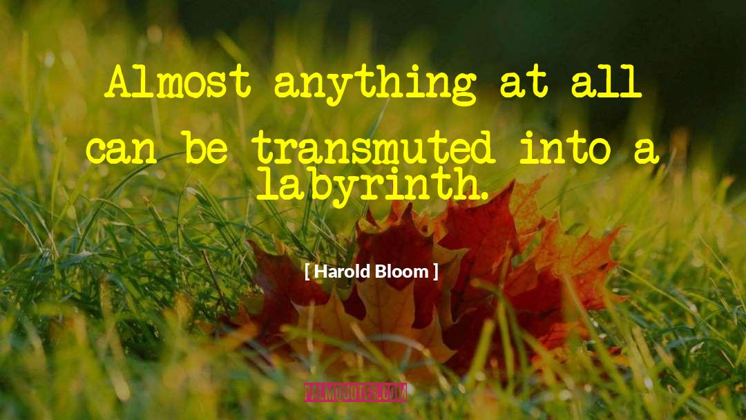 Harold Bloom Quotes: Almost anything at all can