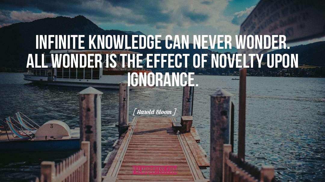 Harold Bloom Quotes: Infinite knowledge can never wonder.