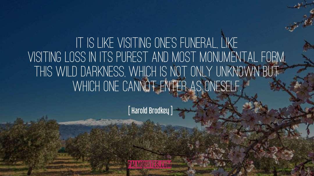 Harold Brodkey Quotes: It is like visiting one's