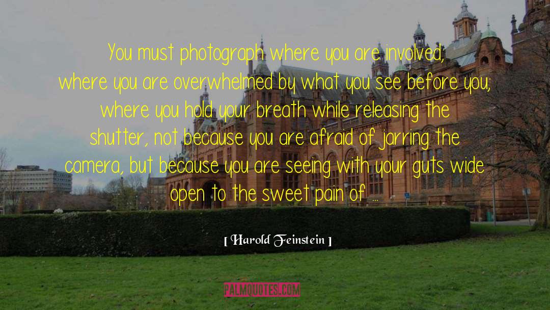 Harold Feinstein Quotes: You must photograph where you