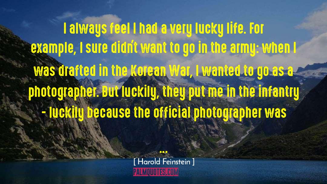 Harold Feinstein Quotes: I always feel I had