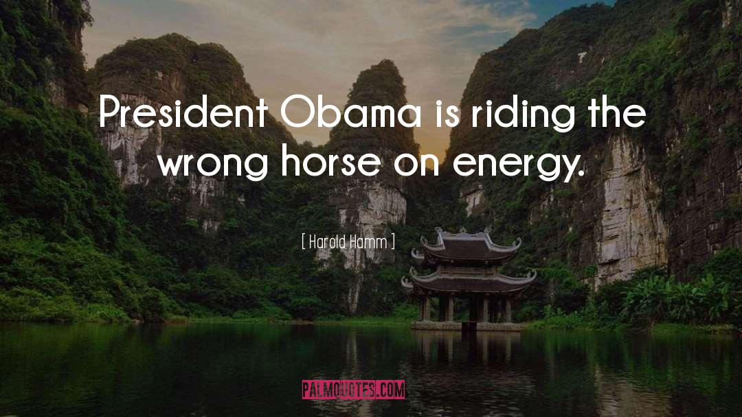 Harold Hamm Quotes: President Obama is riding the