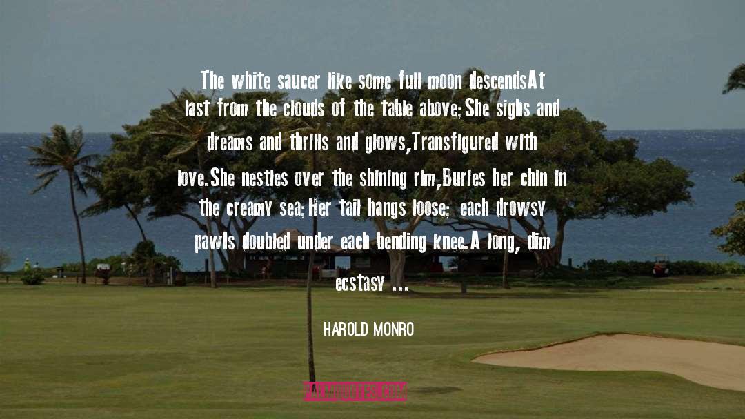 Harold Monro Quotes: The white saucer like some