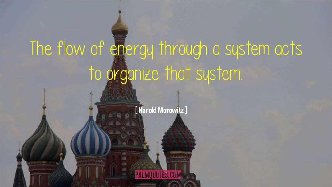 Harold Morowitz Quotes: The flow of energy through