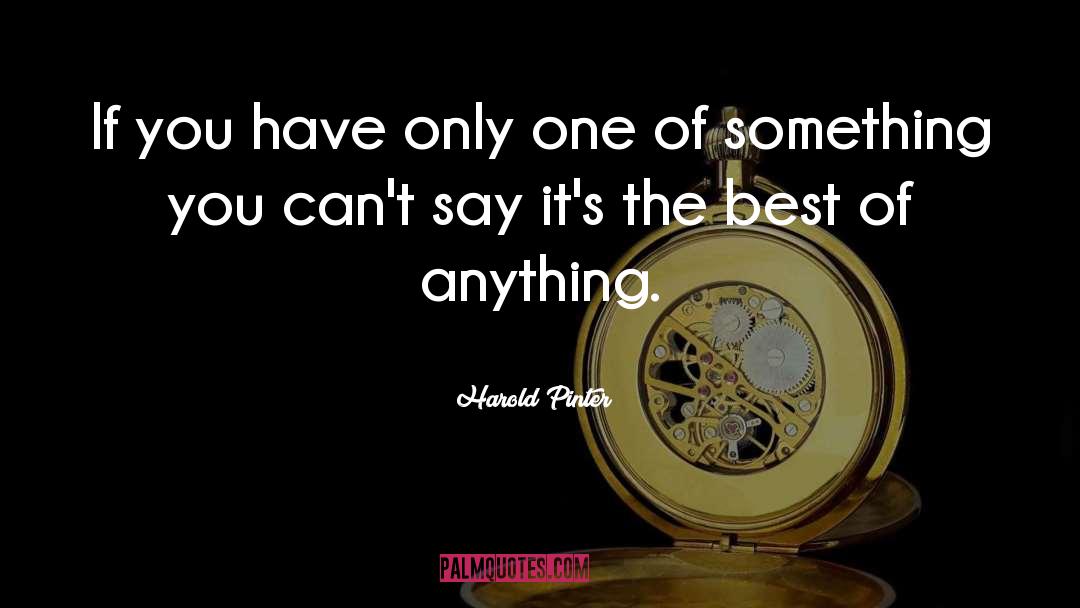 Harold Pinter Quotes: If you have only one