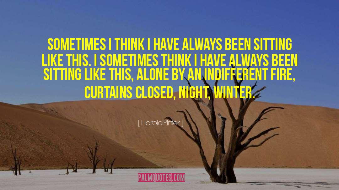 Harold Pinter Quotes: Sometimes I think I have