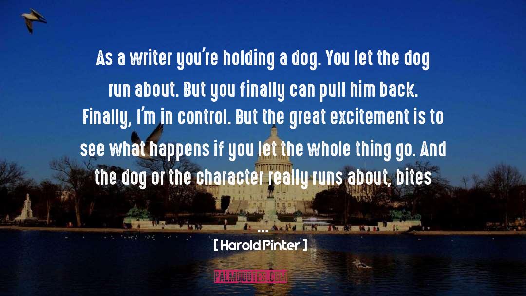 Harold Pinter Quotes: As a writer you're holding