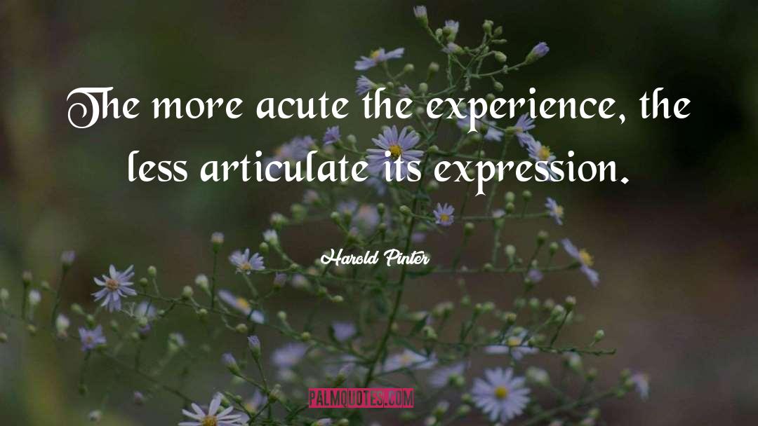Harold Pinter Quotes: The more acute the experience,