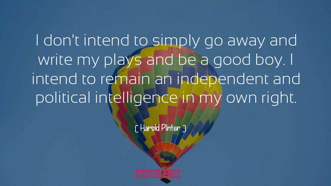 Harold Pinter Quotes: I don't intend to simply