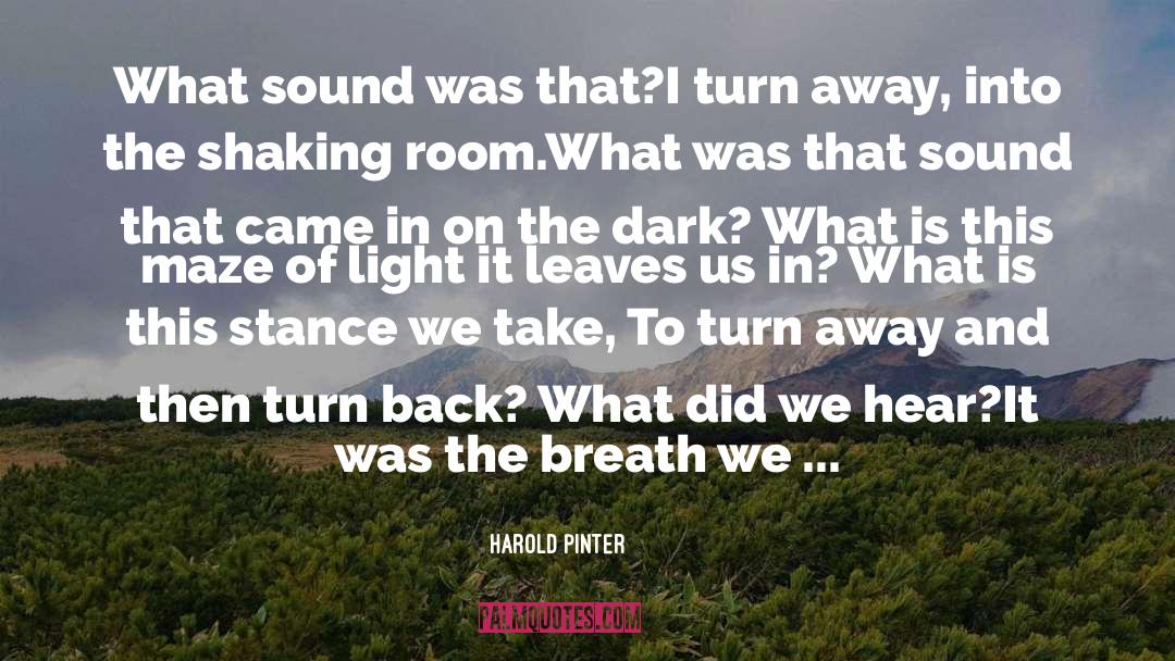 Harold Pinter Quotes: What sound was that?<br>I turn