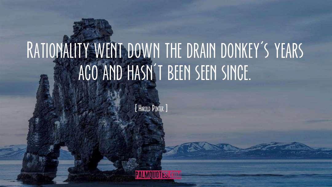 Harold Pinter Quotes: Rationality went down the drain