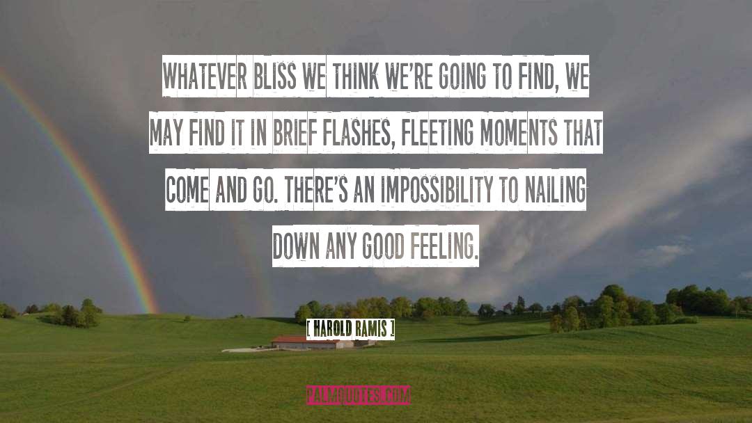 Harold Ramis Quotes: Whatever bliss we think we're