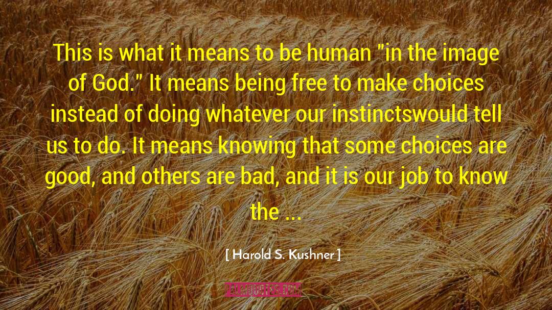 Harold S. Kushner Quotes: This is what it means