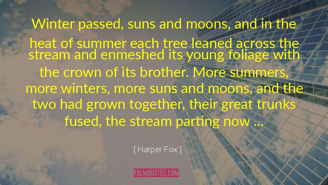 Harper Fox Quotes: Winter passed, suns and moons,