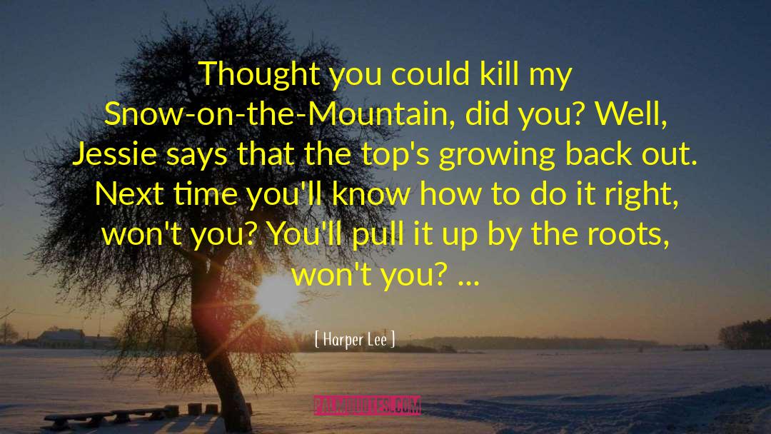 Harper Lee Quotes: Thought you could kill my