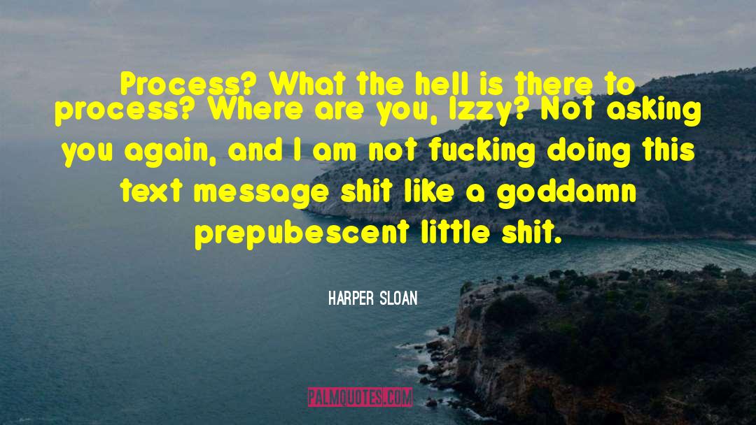 Harper Sloan Quotes: Process? What the hell is