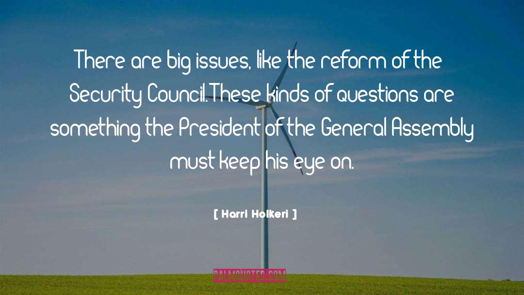 Harri Holkeri Quotes: There are big issues, like