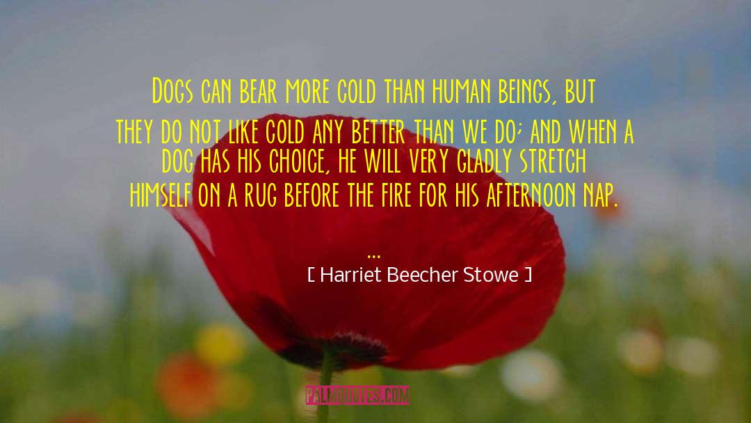 Harriet Beecher Stowe Quotes: Dogs can bear more cold