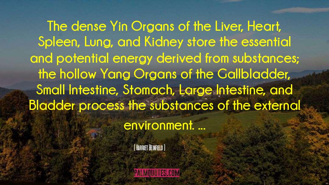 Harriet Beinfield Quotes: The dense Yin Organs of