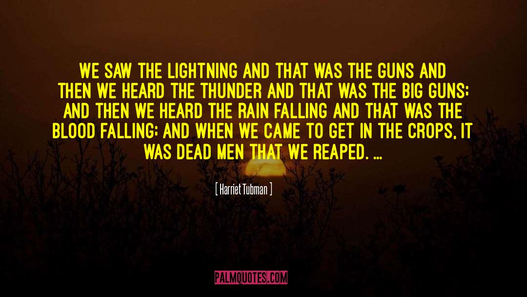 Harriet Tubman Quotes: We saw the lightning and